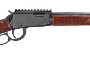 HENRY REPEATING ARMS LEVER ACTION 22MAG BL/WD RAIL