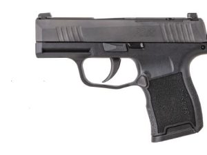 SIG SAUER P365 380ACP BLK 10+1 NS