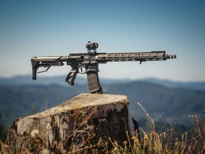 AR Rifles
