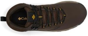 , Cordovan/Golden Yellow, 7 WideRufus AIRufus AI - Image 7