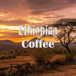 Ethiopian Coffee, Yirgacheffe Region, USDA Organic, Whole Bean, Kosher, Fresh Roasted, 16-ounce - Image 7