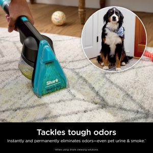 Shark CarpetXpert HairPro with StainStriker - Image 7