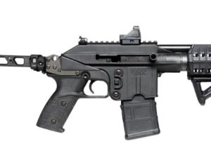 KELTEC PLR-16 DEFENDER 223REM 9.2"